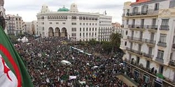 alger bis