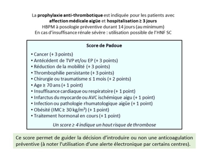 padoueoeo