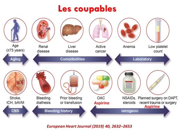 coupablesRH