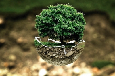 crime ecocide protection environnement terre pixabay