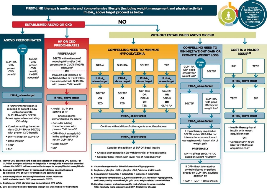 endocrinology pharmacology algorithm hypoglycemic medications 1680w