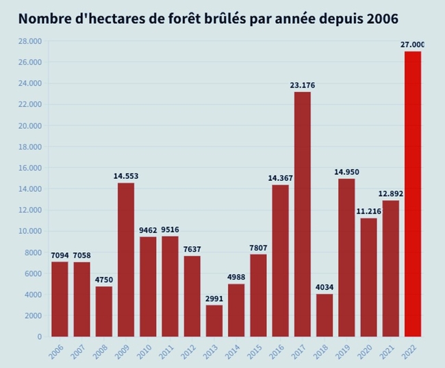 feufeu