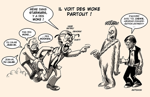 il voit des woke partout
