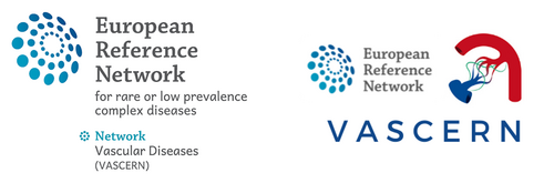 logo vascern 2022