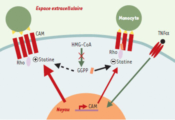 medsci20021812p1257 fig3 big