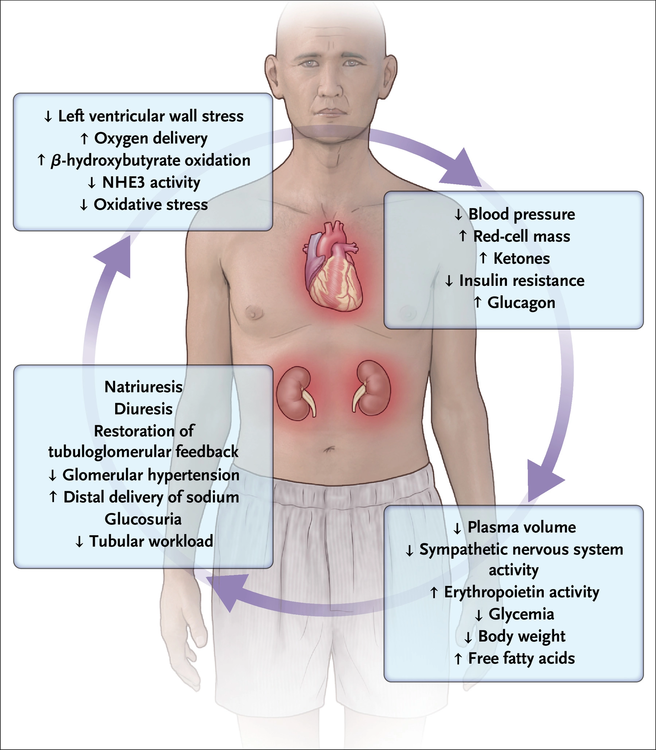 nejmra2115011 f3