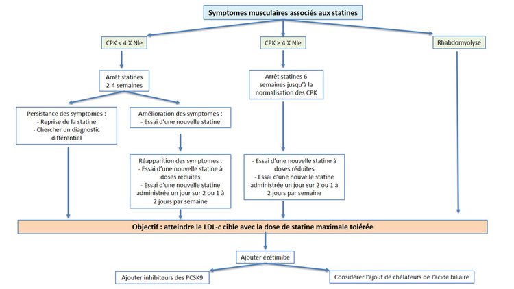 optimisation prescription hypolipemiante intolerance musculaire fig 1