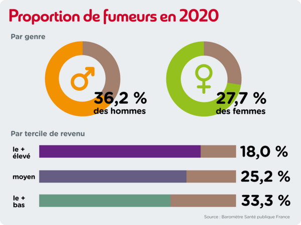 tabagisme en france proportion federation 333addiction 768x576